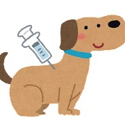犬の予防接種のイラスト