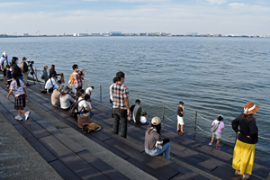 写真：開放された階段護岸部分の様子