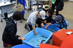 写真:干潟水族館で生き物に触れている様子