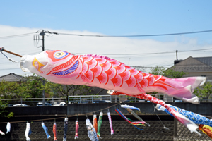 写真：赤いこいのぼり