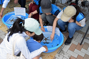 写真：ふれあい水族館でひとでを触っている子ども