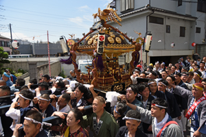 写真：豊受神社の神輿渡御の様子