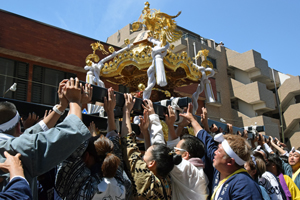 写真：稲荷神社の神輿渡御の様子