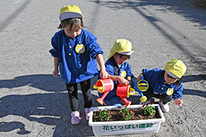 写真：じょうろで花に水をかける園児たち